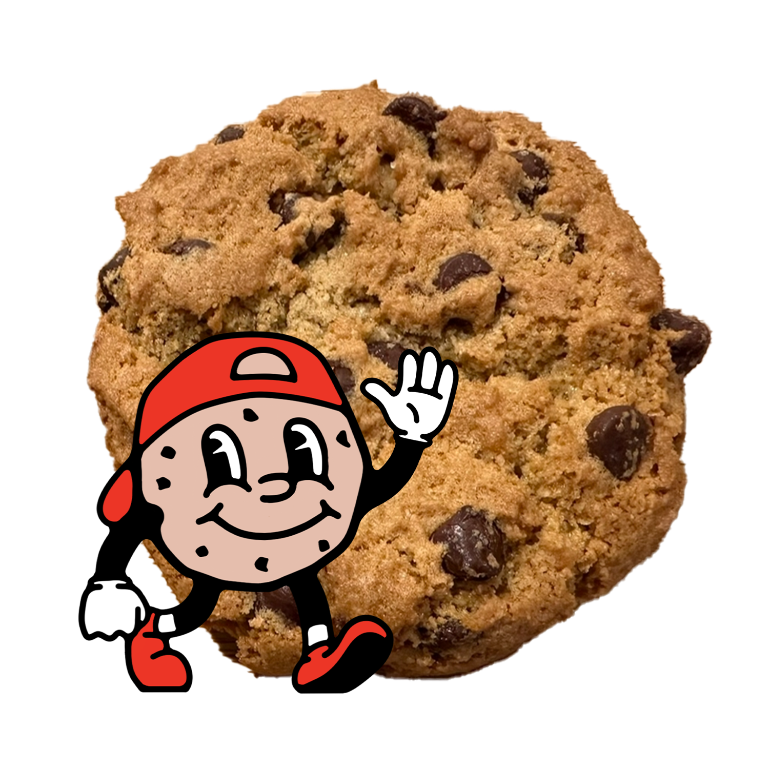 Gluten Free Chocolate Chip Cookie