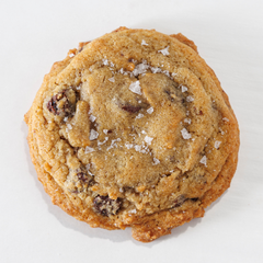 Chocolate Chip